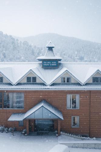 the chail pine orchard resort