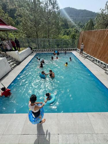 the chail pine orchard resort