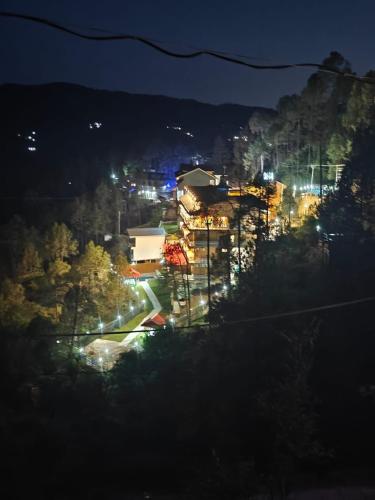 the chail pine orchard resort