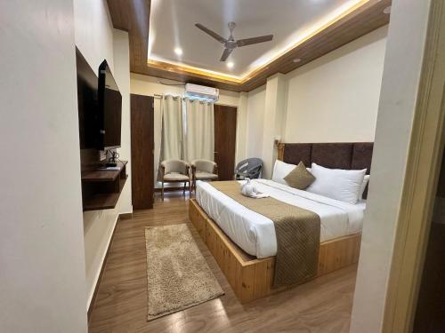 the chail pine orchard resort