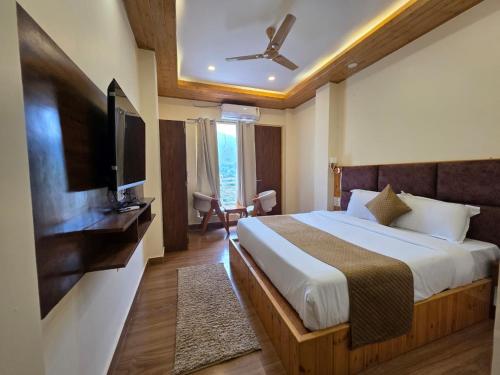 the chail pine orchard resort