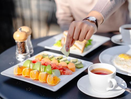 the panorama retreat manali