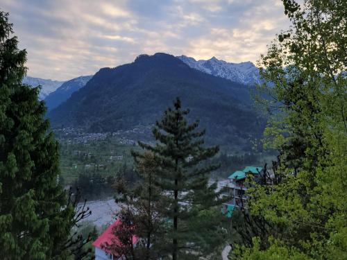 the panorama retreat manali