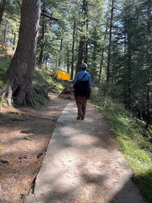 the panorama retreat manali