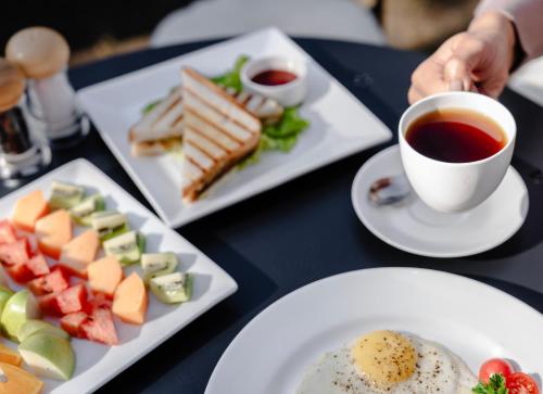 the panorama retreat manali