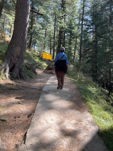 the panorama retreat manali