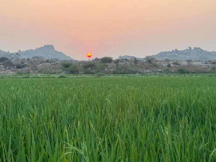 koppal