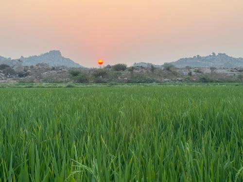 koppal