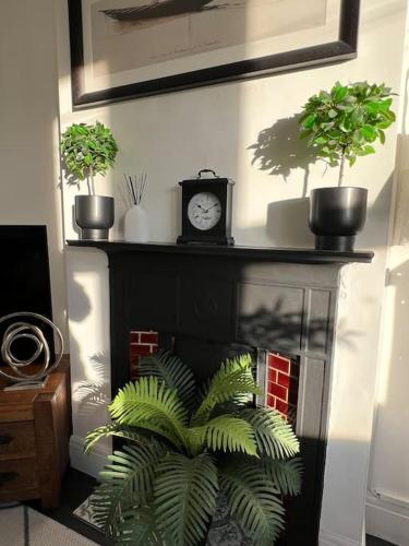 hill grove 2 bedroom apartment