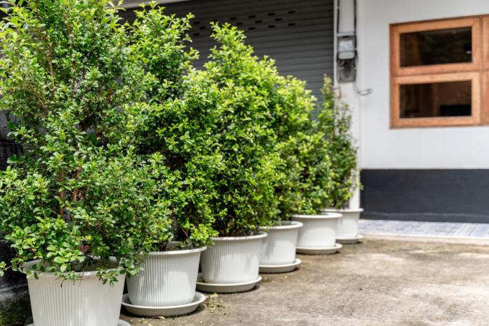 socialer coliving and coworking space