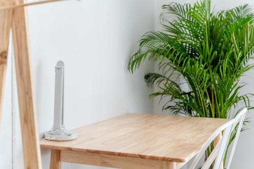 socialer coliving and coworking space