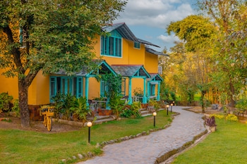 tree of life birdsong chalets