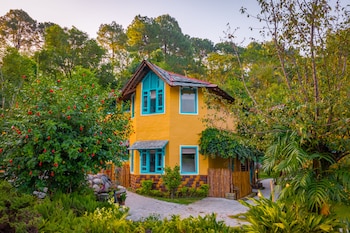 tree of life birdsong chalets