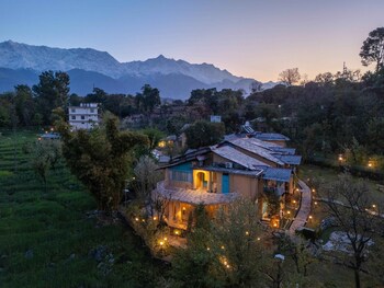 tree of life birdsong chalets