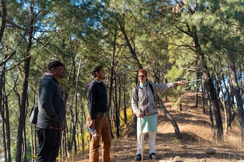 tree of life birdsong chalets