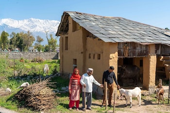 tree of life birdsong chalets