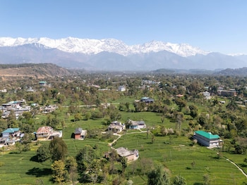 tree of life birdsong chalets