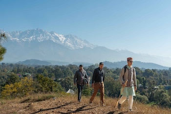 tree of life birdsong chalets