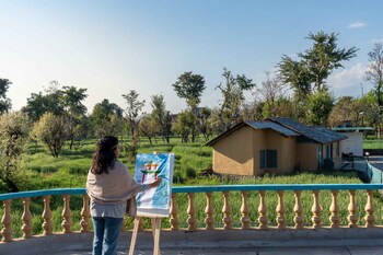 tree of life birdsong chalets
