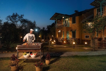 tree of life birdsong chalets