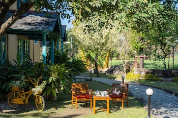 tree of life birdsong chalets