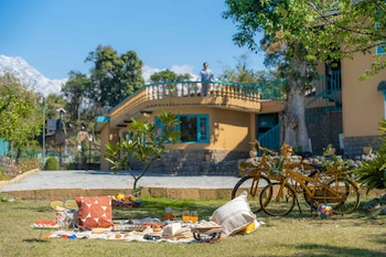 tree of life birdsong chalets