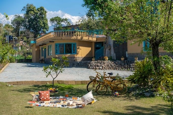 tree of life birdsong chalets