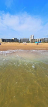 saida tower 506