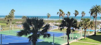 saida towers iv 303