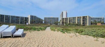 saida towers iv 303