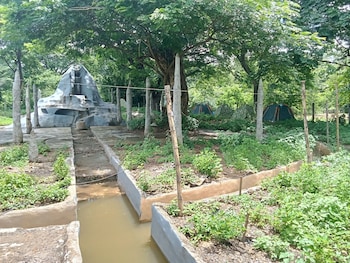 backpackers temple