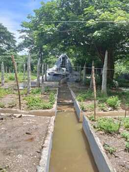 backpackers temple