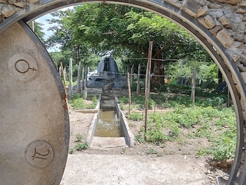 backpackers temple