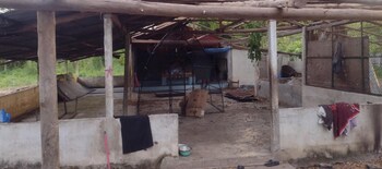 backpackers temple