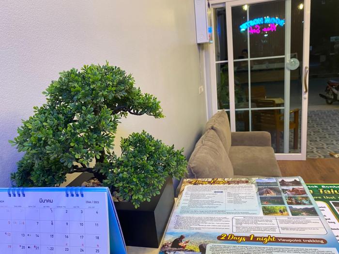 boom hostel khao sok