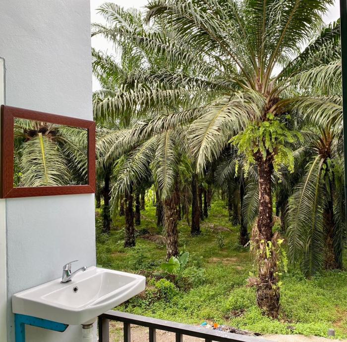 boom hostel khao sok