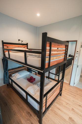 boom hostel khao sok