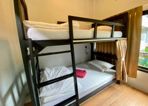 boom hostel khao sok