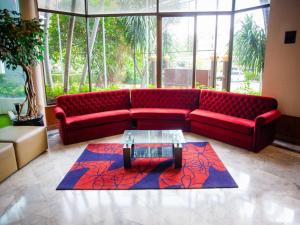 first pacific cirrus pattaya