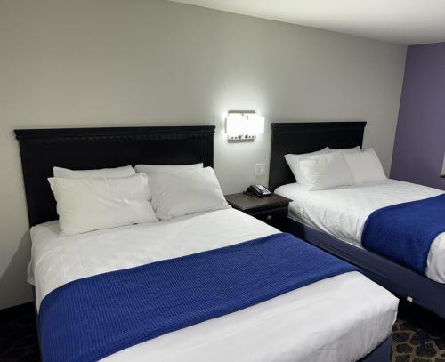 lone star