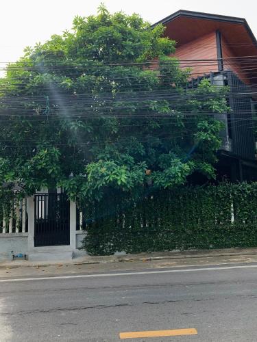 the melatonin hostel