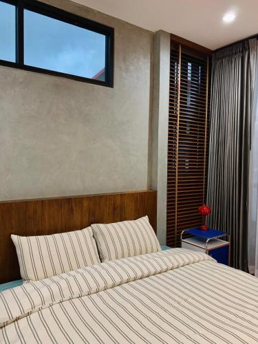 the melatonin hostel