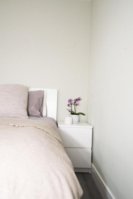 ryegate house colchester