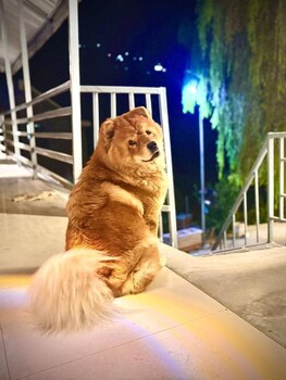 Star Vibes Resort,,2 star