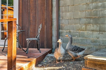 mays luxury farm stays