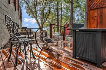 mays luxury farm stays