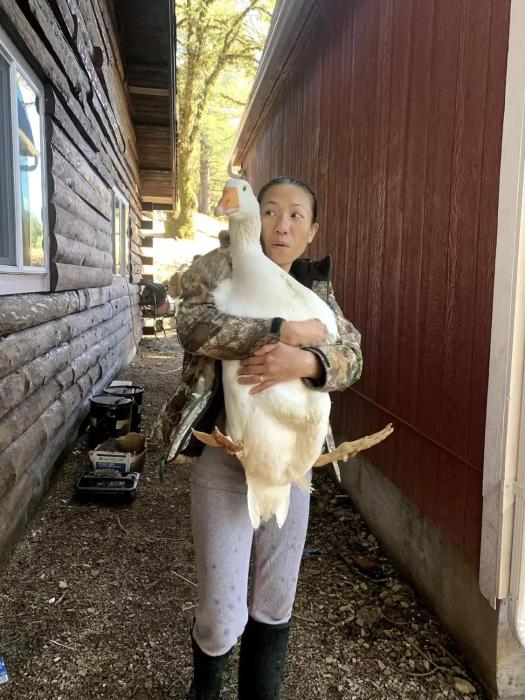 mays luxury farm stays