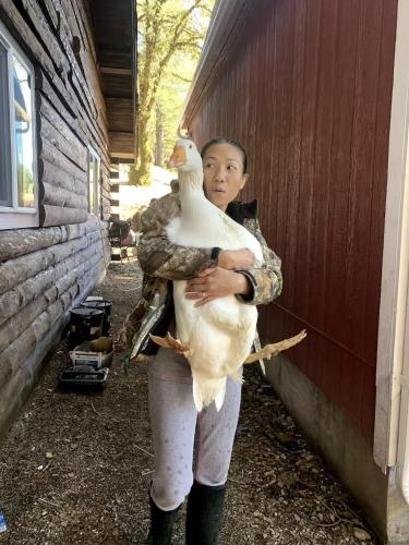 mays luxury farm stays