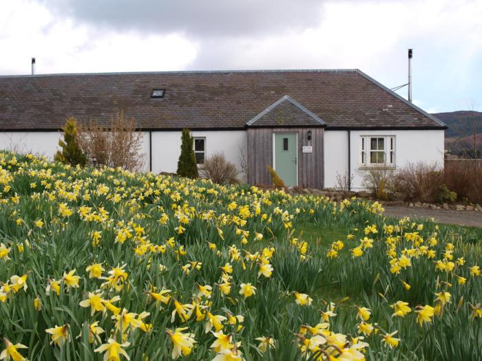 blairgowrie