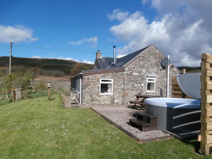 dalnoid cottages and treehouses